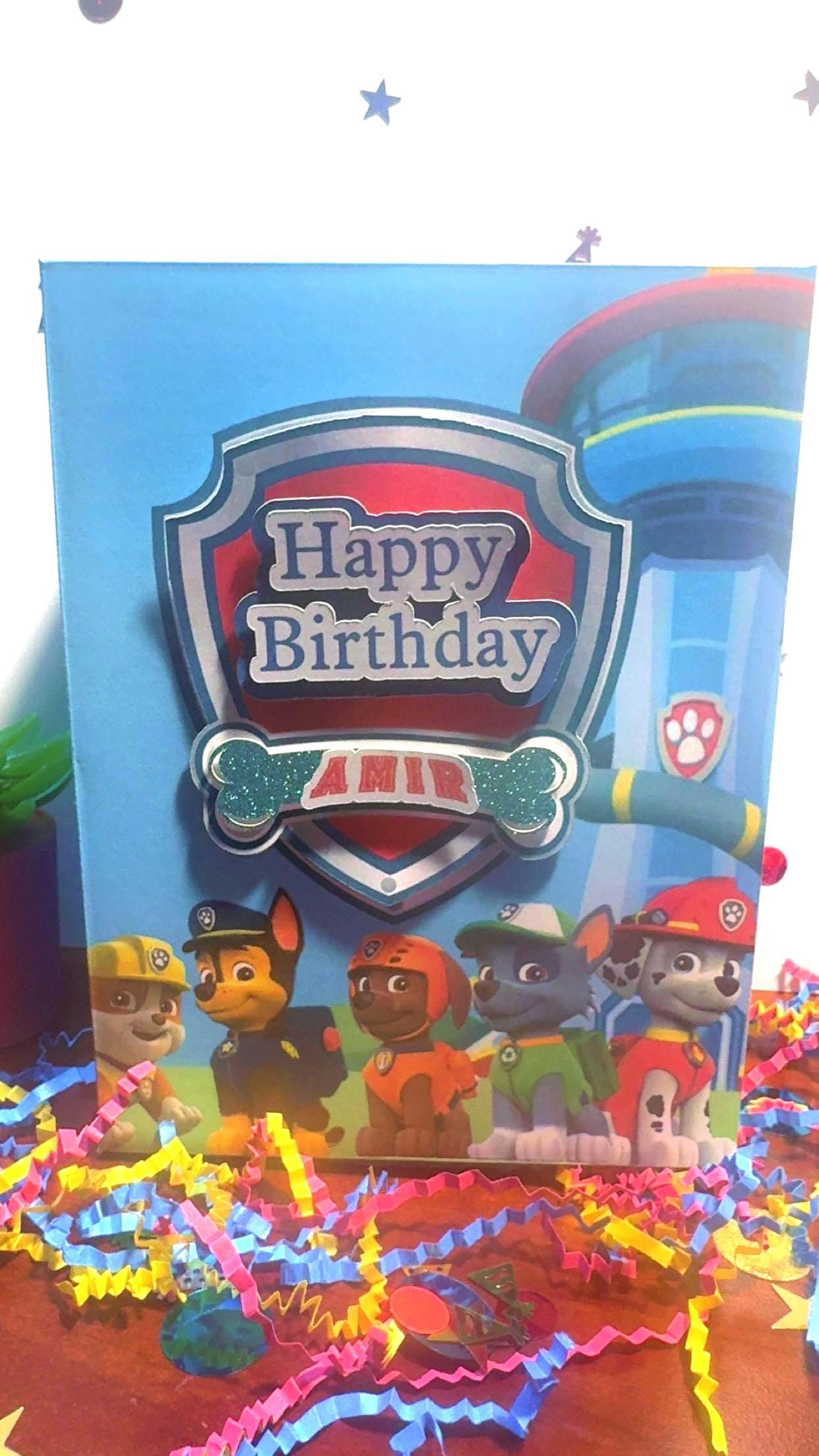 Paw Patrol Party Box